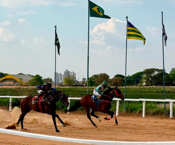 Hipódromo da Lagoinha recebe corridas de cavalos no aniversário de Goiânia